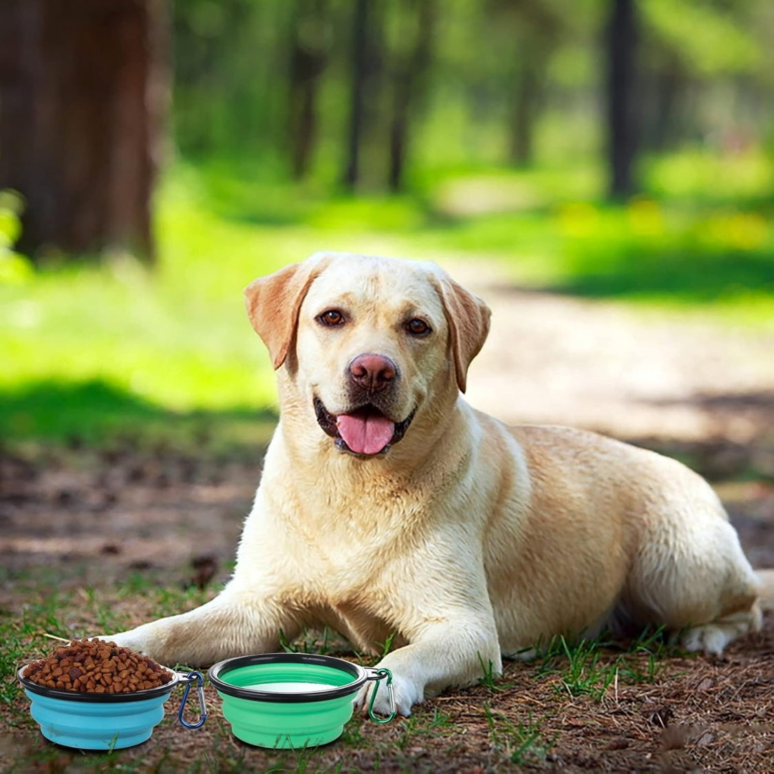 Collapsible Dog Travel Bowls with Lids, 2-Pack Foldable Food &amp; Water Bowls with Clip – view 5
