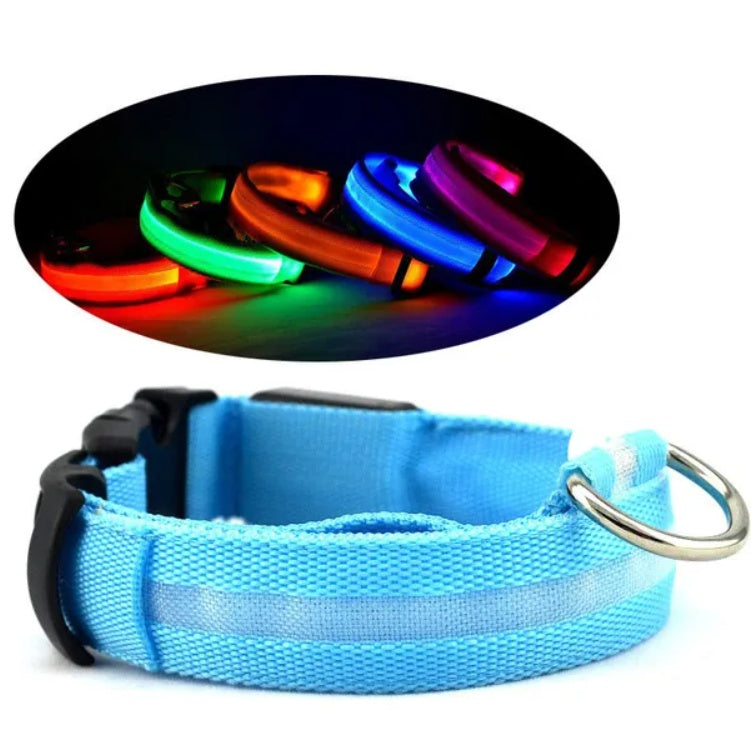 LED Light-Up Dog Collar – Halo Style, Flashing &amp; Steady Modes, S–XL, 5 Colors – view 3