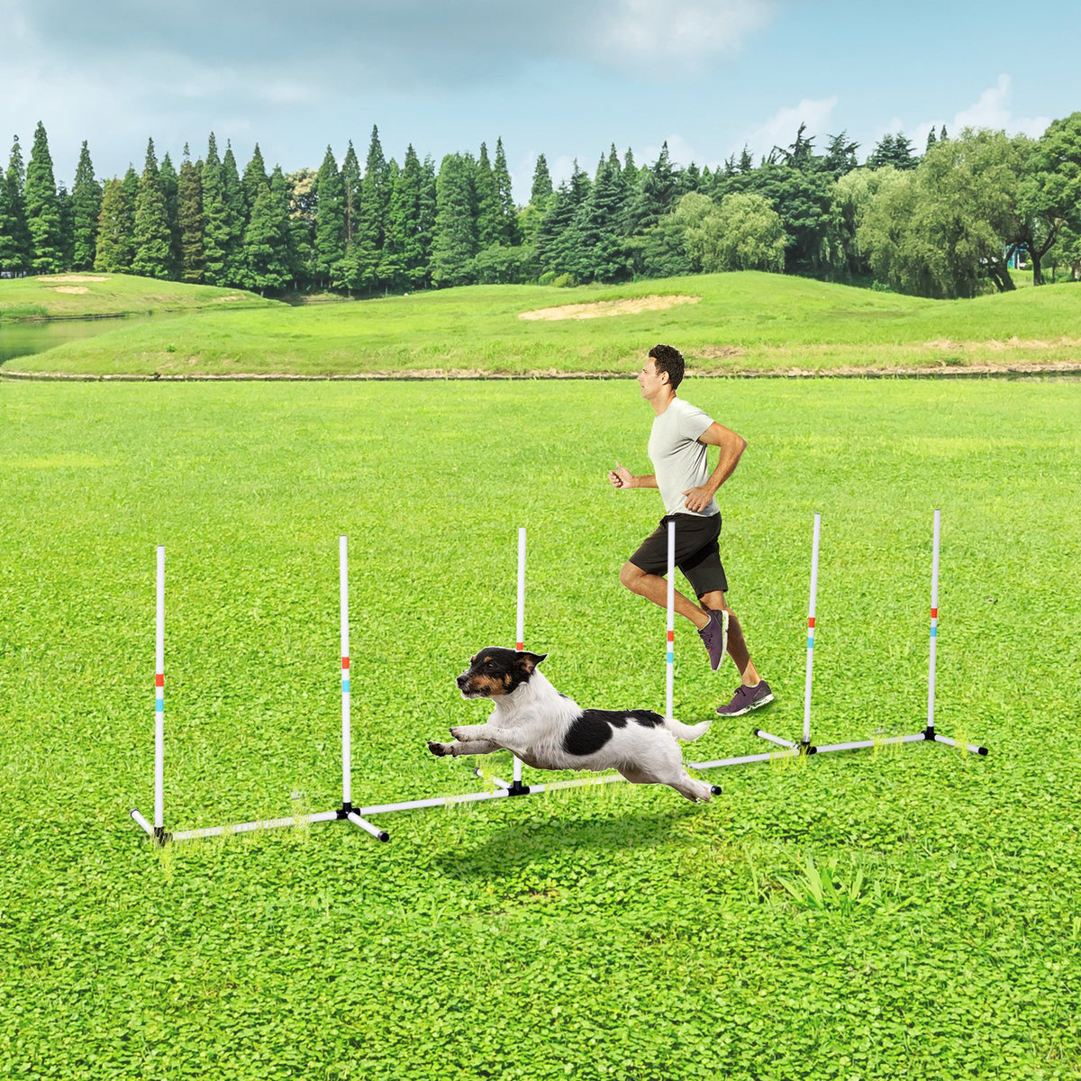 Dog Agility Weave Poles – 6-Pole Set, 129 in Course with Storage Bag, White