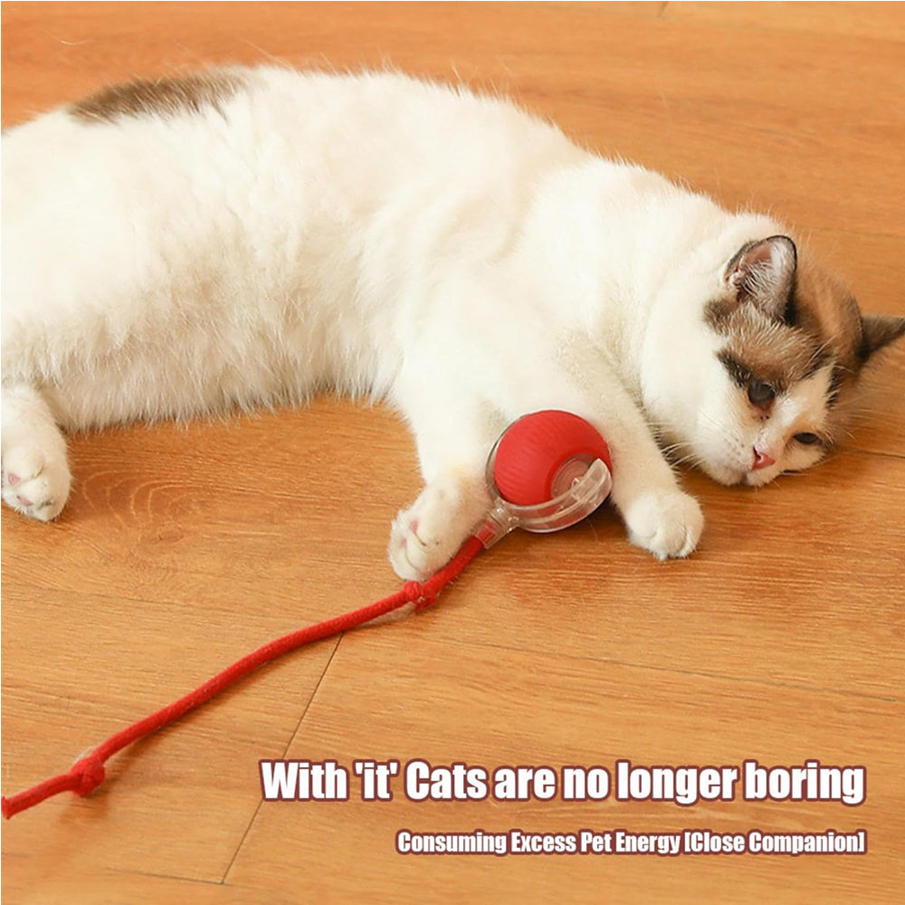 Self-Rotating Cat Ball with Lights and Touch Activation, Rechargeable – Gray, Green or Red – view 8