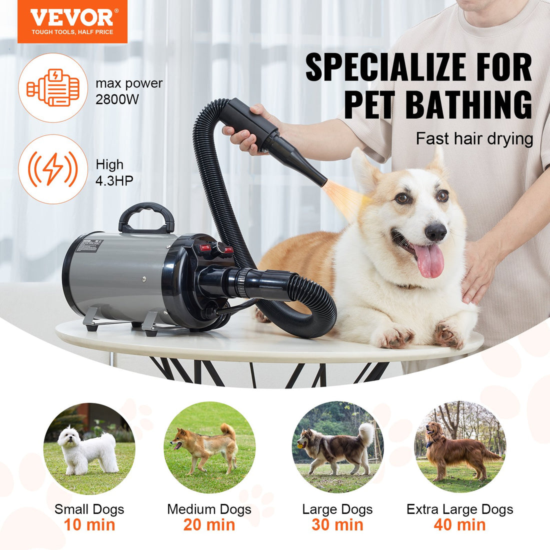 High-Velocity Dog Blow Dryer – 2800 W with Adjustable Heat &amp; Speed, 4 Nozzles, Gray &amp; Black – view 2