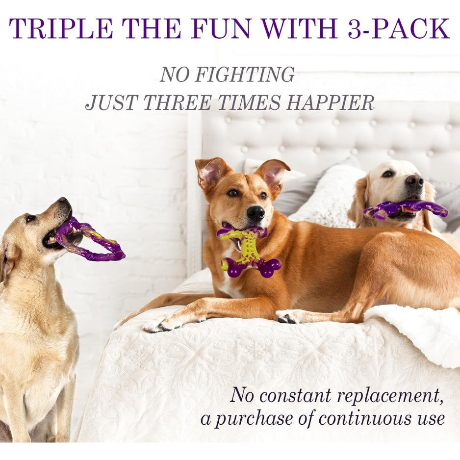Nylon Bone Dog Chew Toys 3-Pack, Bacon Flavored for Medium &amp; Large Dogs, Purple – view 4