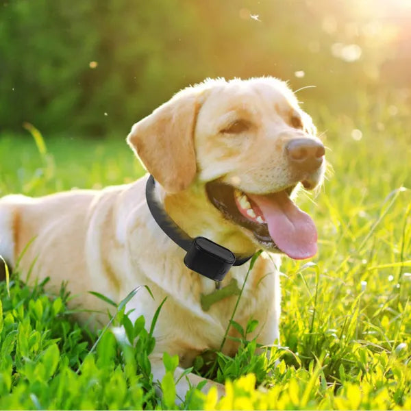 Electric Dog Fence System – In-Ground Boundary with 2 Receiver Collars, Beep &amp; Static Modes, Up to 1.2 Acres – view 2