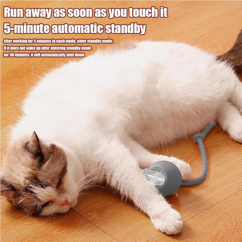 Self-Rotating Cat Ball with Lights and Touch Activation, Rechargeable – Gray, Green or Red – view 6