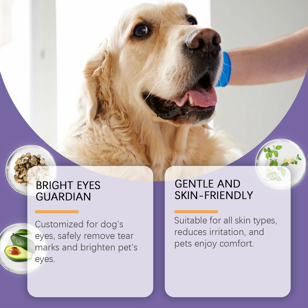 Dog Tear Stain Paste with Honeysuckle &amp; Coconut Oil, 20 g with Cotton Swabs – view 5