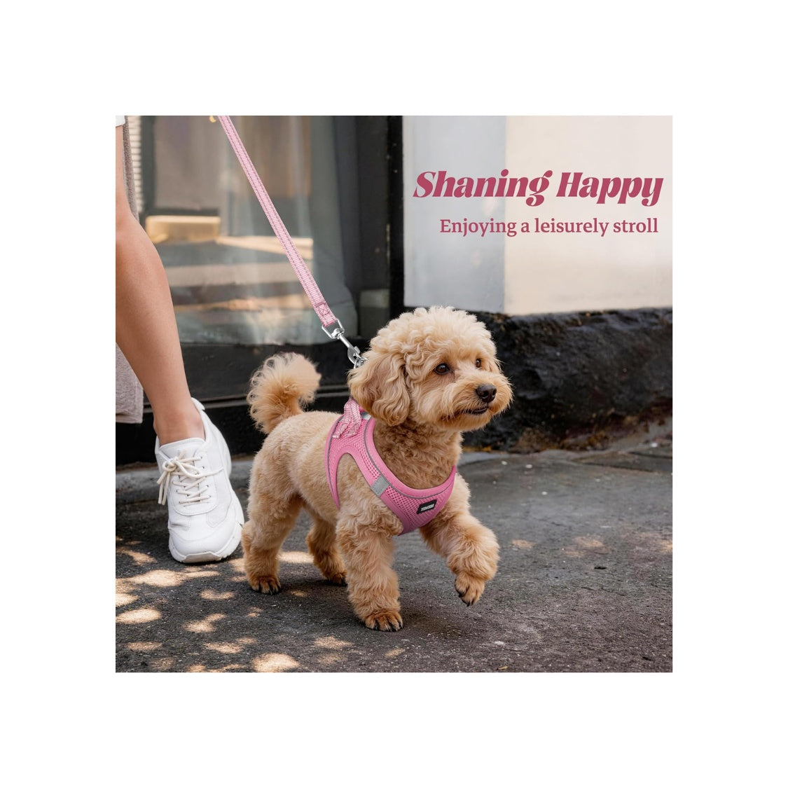 No-Pull Reflective Dog Harness &amp; Leash Set – Breathable Mesh, Step-In, X-Small – view 3