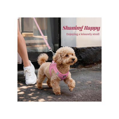 No-Pull Reflective Dog Harness &amp; Leash Set – Breathable Mesh, Step-In, X-Small – view 3
