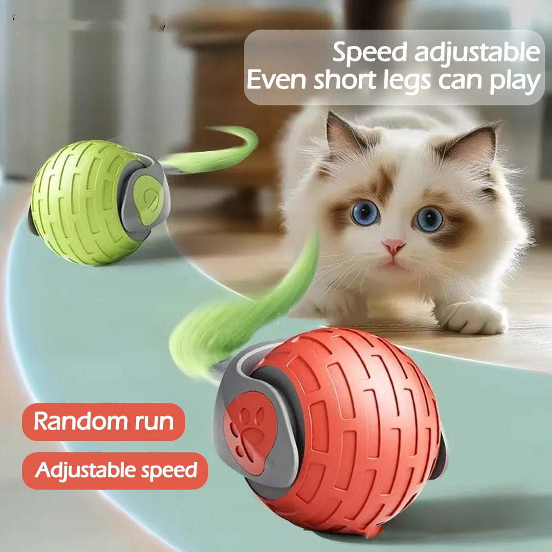 Automatic Rolling Ball Cat Toy – USB Rechargeable, Tap-to-Wake, Quiet Silicone Shell