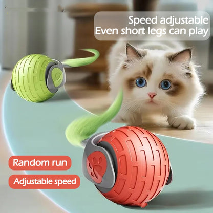Automatic Rolling Ball Cat Toy – USB Rechargeable, Tap-to-Wake, Quiet Silicone Shell