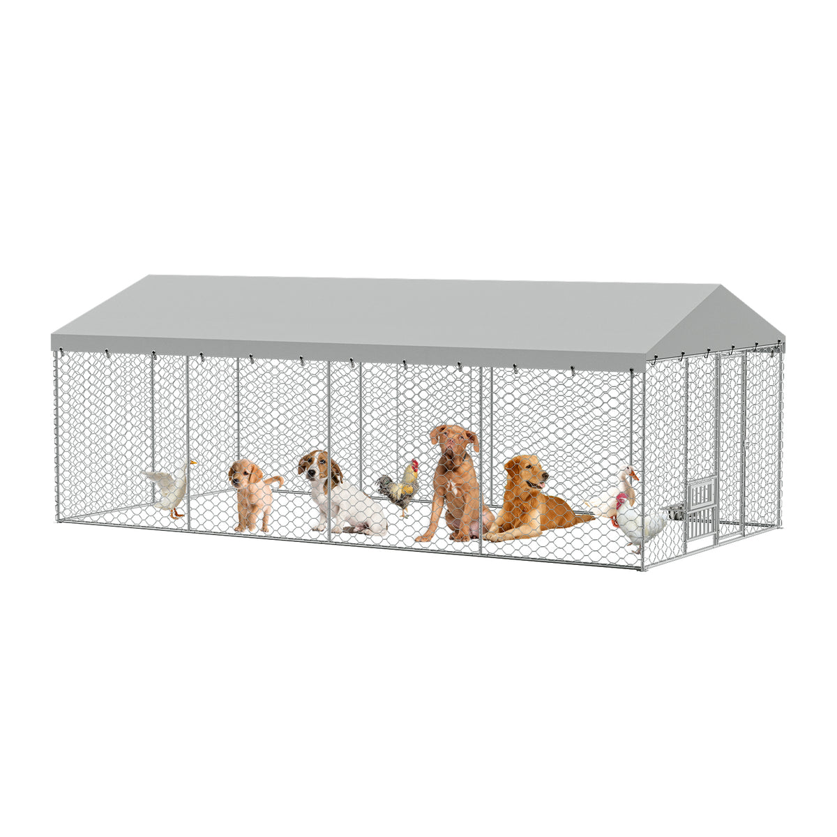 Large Outdoor Dog Kennel with Canopy – 20x10 Ft, Galvanized Steel, Elevated Feeding Bowls, Silver – view 4