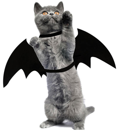 Halloween Bat Wings &amp; Spider Costume for Cats &amp; Dogs – view 5