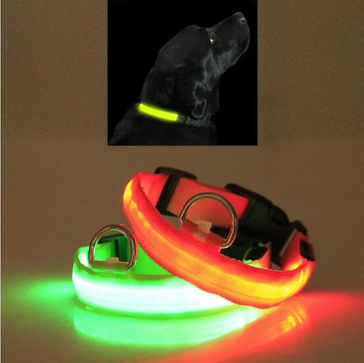 LED Light-Up Dog Collar – Halo Style, Flashing &amp; Steady Modes, S–XL, 5 Colors – view 2