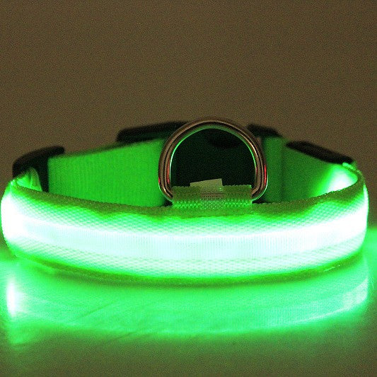 LED Light-Up Dog Collar – Glow-in-the-Dark Night Safety Collar, 6 Colors, Sizes XXS–XL, Rechargeable Options