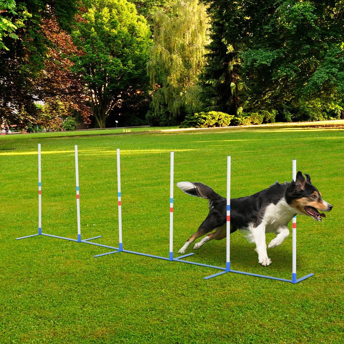 Dog Agility Weave Pole Starter Kit – 6 Poles, 120 in Course, 5.3 lb with Bag, White – view 2