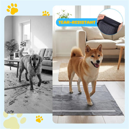 Charcoal Dog Pee Pads 24 x 24 in, 150 Count – 6-Layer Puppy Potty Training Pads – view 3