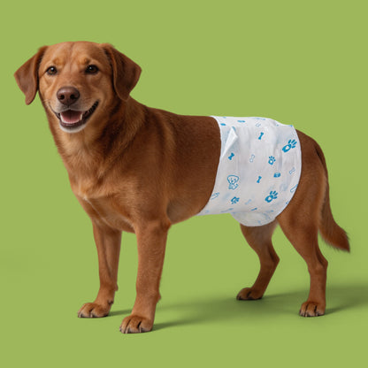 Disposable Male Dog Wraps – Super Absorbent, Leak-Proof Belly Bands, XS–L – view 9