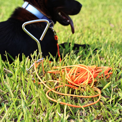 30 ft Dog Tie-Out Leash with Ground Stake – Waterproof PVC Lead for Yard, Camping &amp; Park, 5 Colors – view 3