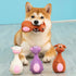 Latex Animal-Shaped Squeaky Dog Chew Toys 4-Piece Set for Puppies and Small Dogs