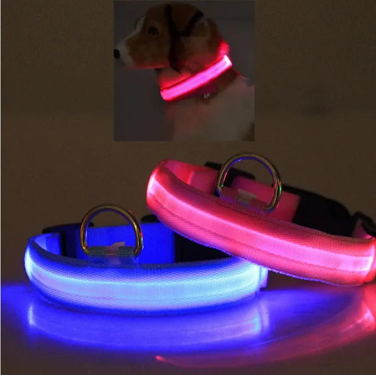LED Light-Up Dog Collar – Halo Style, Flashing &amp; Steady Modes, S–XL, 5 Colors – view 5