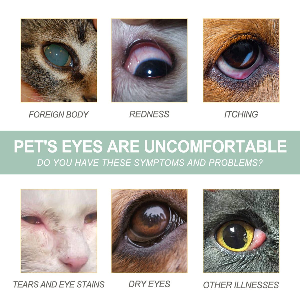 Pet Eye Cleaner Drops for Dogs and Cats – Honeysuckle Oil and Blueberry Extract, 100 ml – view 8