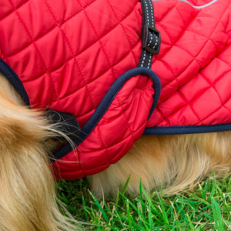 Adjustable Padded Dog Jacket – Warm Cotton Winter Coat – view 4