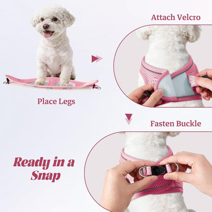 No-Pull Reflective Dog Harness &amp; Leash Set – Breathable Mesh, Step-In, X-Small – view 5