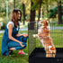 4-Panel Foldable Metal Dog Playpen with Bottom Mat – 36 x 36 Inch, 24-Inch High, Black – view 6