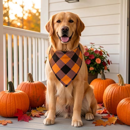 Halloween Dog Bandanas 2-Pack – Reversible Pumpkin &amp; Spider Web Scarves for Medium &amp; Large Dogs, Orange – view 7