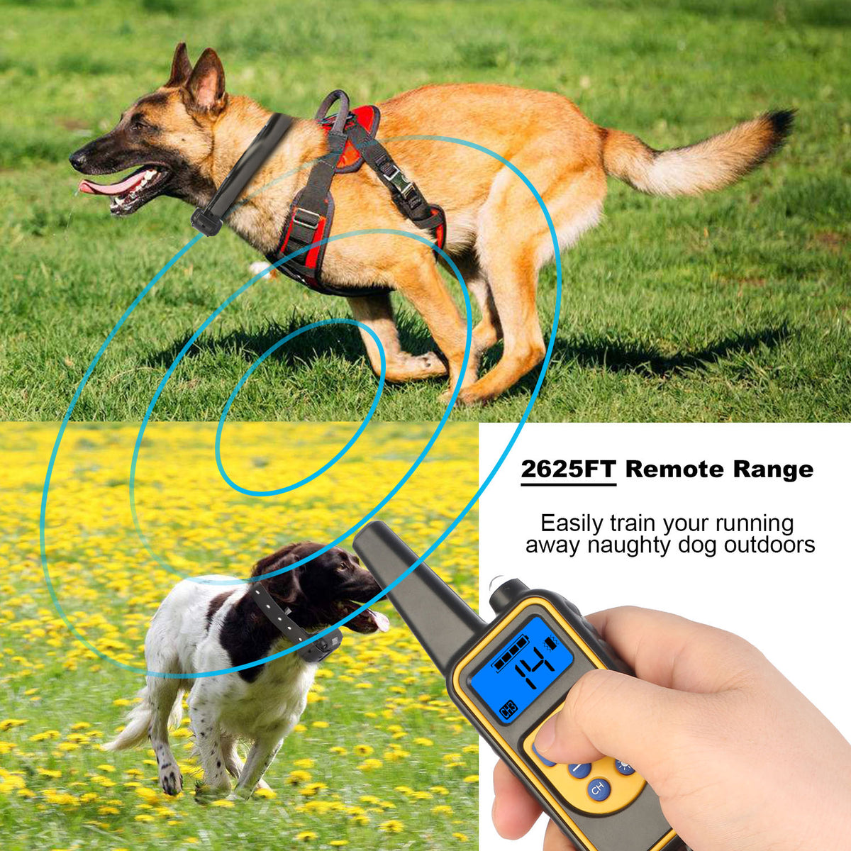 Rechargeable Dog Training Collar with Remote – 2625 ft, 4 Modes, IP67 (Set or Receiver Only) – view 4