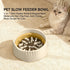 2-in-1 Dual Mode Cat Slow Feeder Bowl, Switchable Maze and Regular Feeding, Large Plastic – view 6