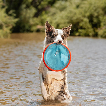 Floating Flying Disc Dog Toy – Multilayer Nylon Flyer with Soft Rubber Edges, 9.75 in, Blue – view 3