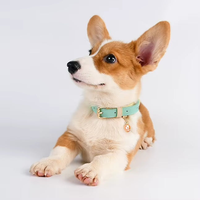 Genuine Leather Dog Collar – Soft, Adjustable &amp; Durable for Small, Medium &amp; Large Dogs – view 6