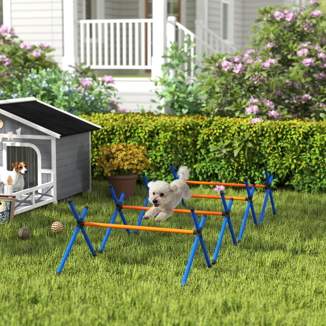 Dog Agility Hurdle Set – 4 Jumps with 3 Adjustable Heights and Carry Bag, Orange