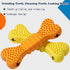 Bristle Chew Stick Dog Toys 2-Pack with Ridged Design for Small, Medium and Large Dogs