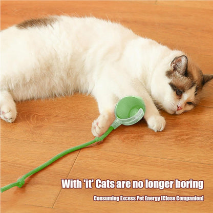 Electric Rolling Ball Toy for Cats and Dogs with Lights and Touch Activation – Green, Gray or Red – view 6