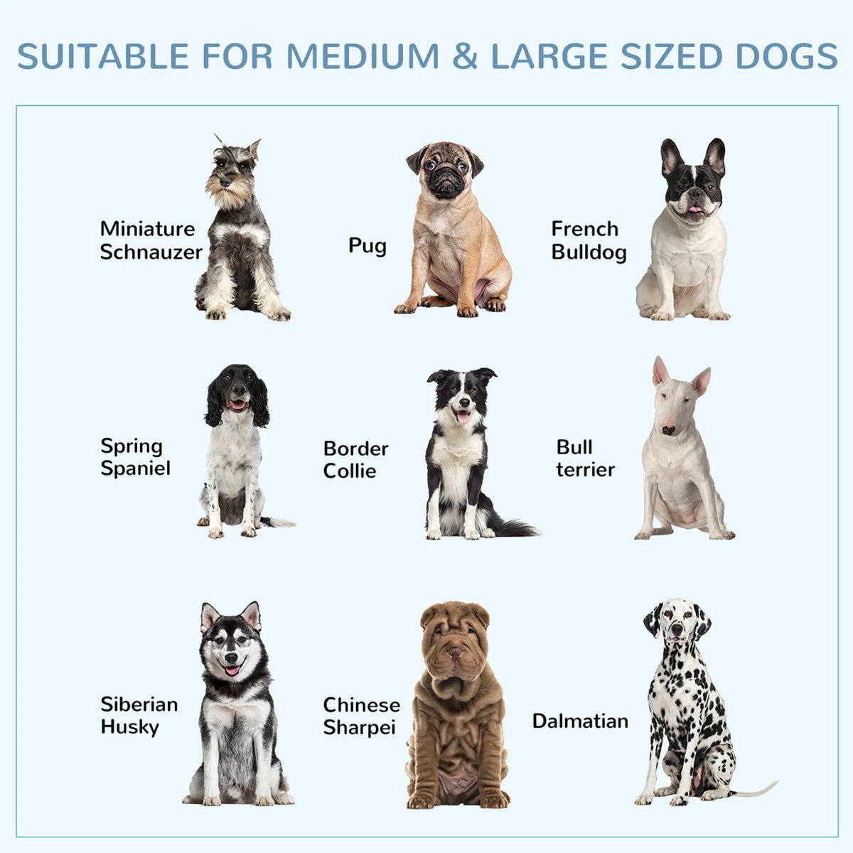 43 in Heavy-Duty Dog Crate with Locking Wheels – Double Door, Removable Tray – view 6