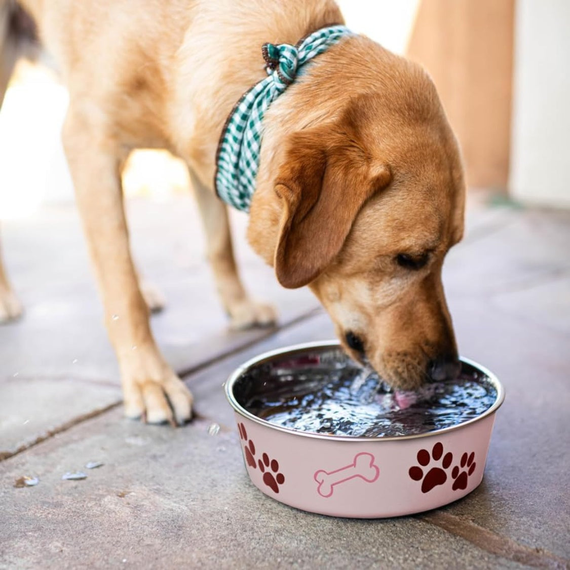 Stainless Steel Dog and Cat Bowl with Poly-Resin Exterior and Removable Rubber Base, 15 oz, Pink – view 5