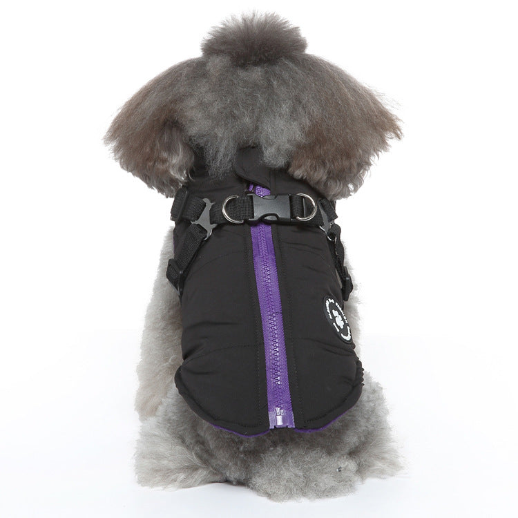 Padded Dog Jacket with Chest Strap – Polyester Winter Coat in Blue, Green or Red – view 3