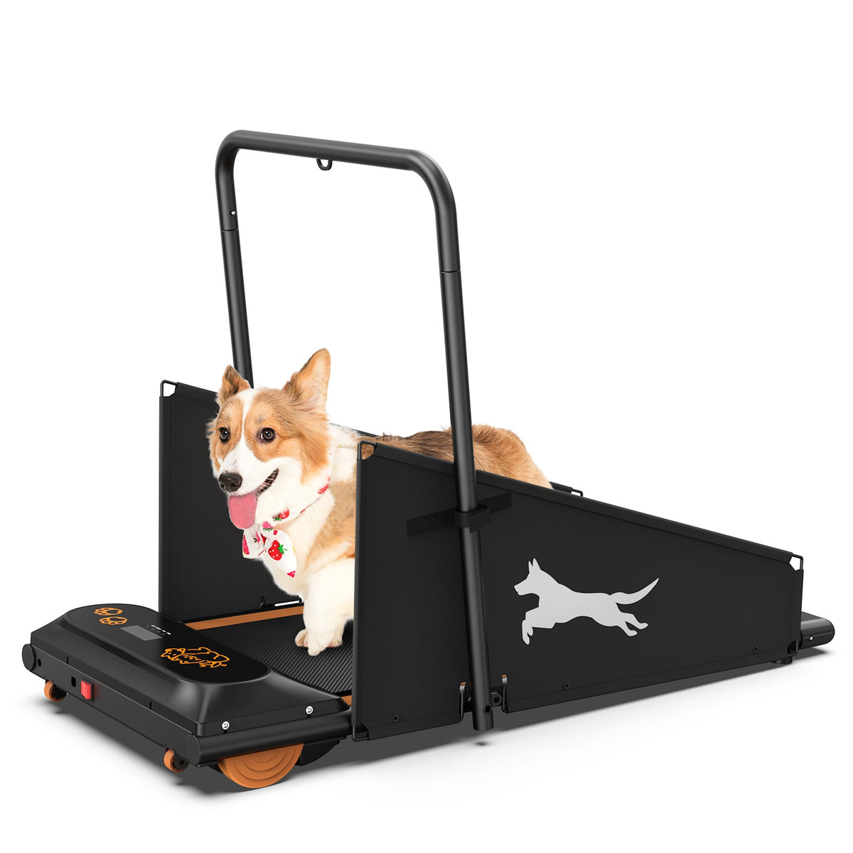 Compact Dog Treadmill for Small &amp; Medium Dogs – 36 x 14 in Belt, 0.5–6 mph, Foldable