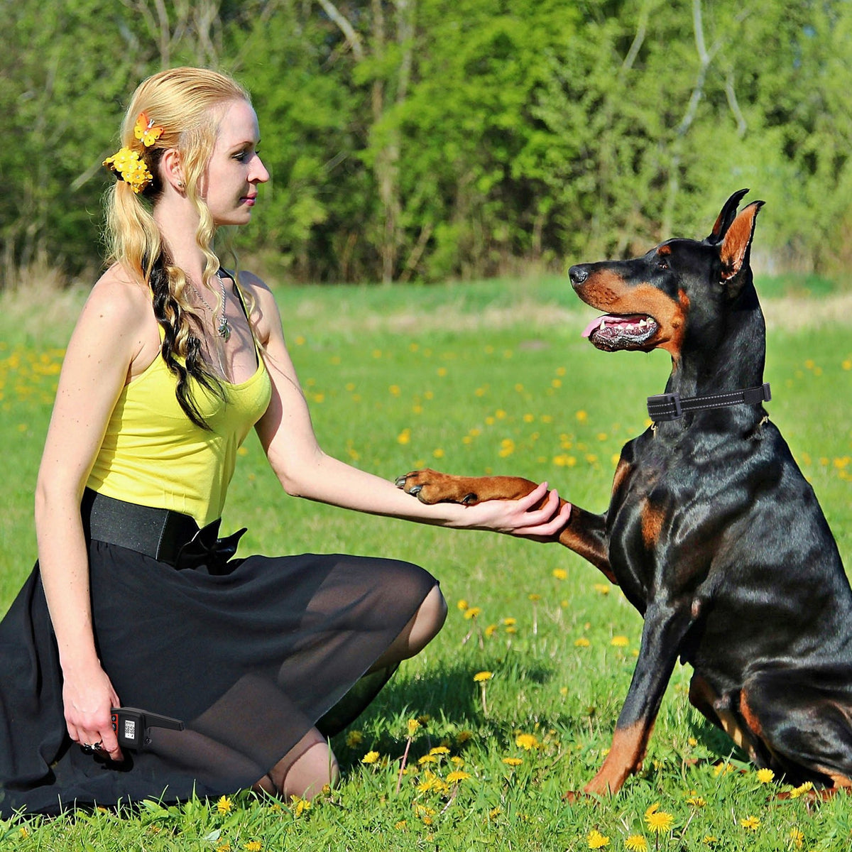 3280 ft Remote Dog Training Collar – Beep, Vibration &amp; Static (1–100), IP67, Set or Receiver Only – view 10