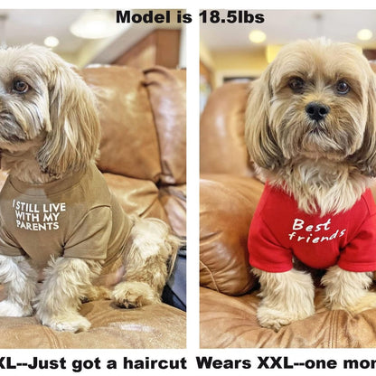 Round Neck Polyester Dog T-Shirt, Basic Pet Tee in Red, Blue, Black or Khaki – view 3