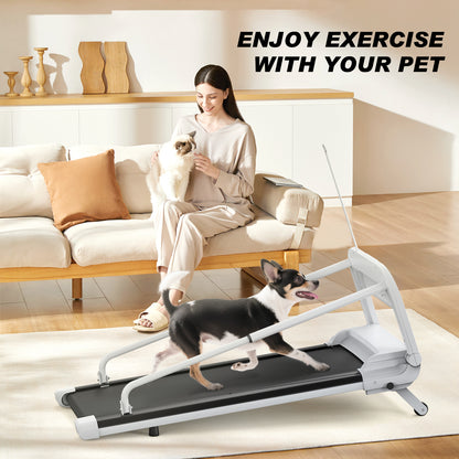 Quiet Dog Treadmill for Small &amp; Medium Dogs – 41 x 16 in Belt, 0.5–6 mph, Foldable – view 6