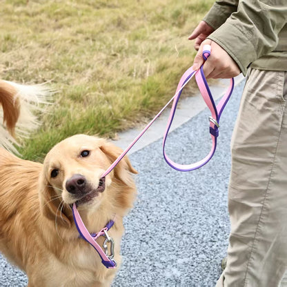 Two-Tone Embossed Dog Leash Set with 3 DIY Charms – Waterproof PVC, 15, 20 &amp; 25 mm, Red, Green or Pink