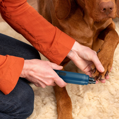 Pet Nail Grinder with Diamond Bit and USB Charging Cable – 2 Speeds, Low Noise, Blue – view 9