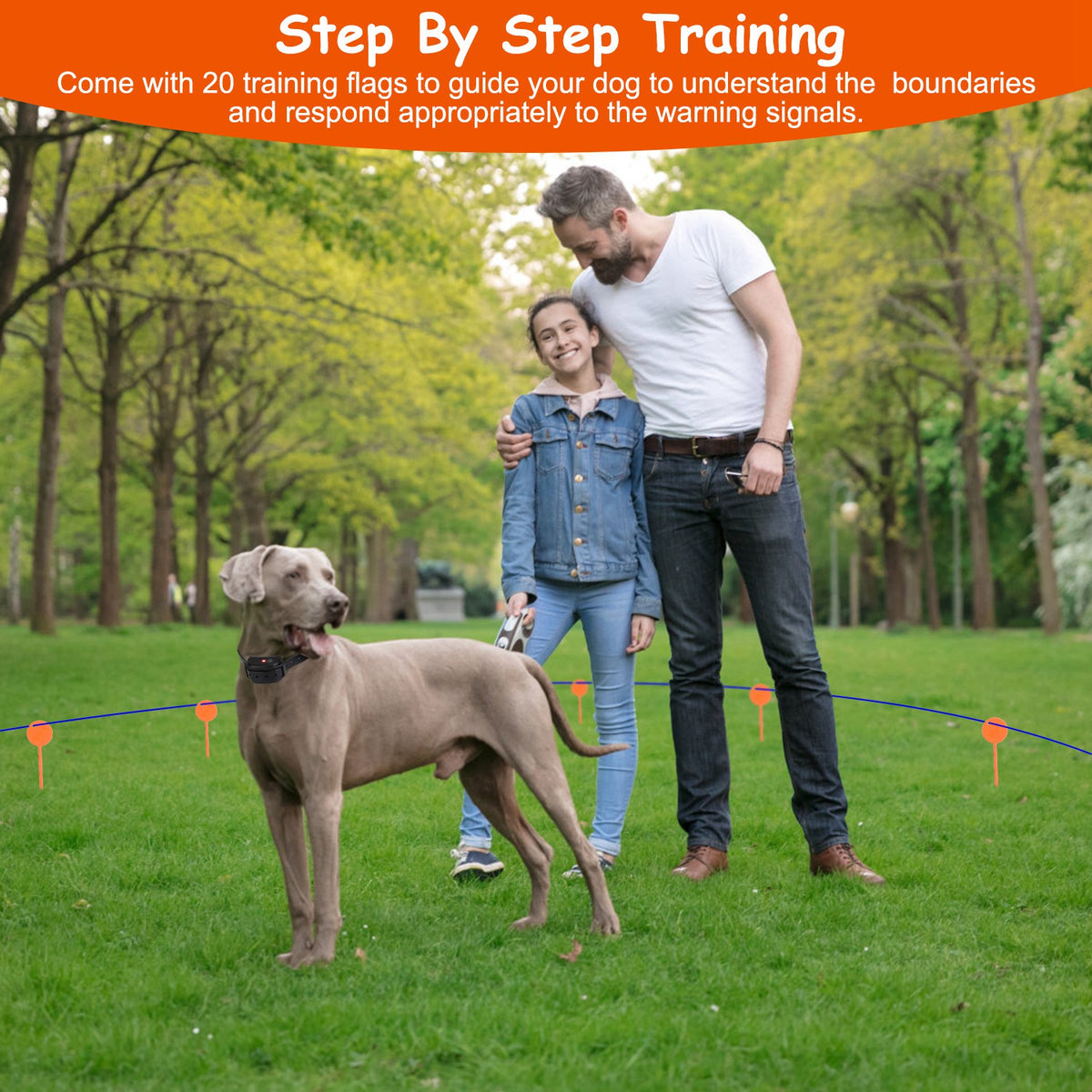 In-Ground Dog Fence System – 0.75 Acre, 100 Adjustable Levels, IPX7 Rechargeable Collar – view 7