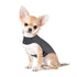 Heather Gray Dog Vest Jacket – Soft Ponte Knit Pet Top in Sizes XXS to XXL – view 2