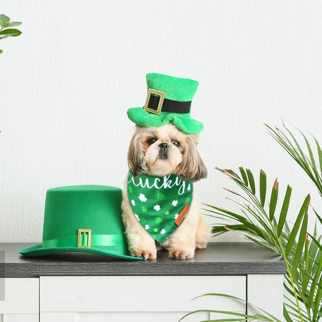 St. Patrick&