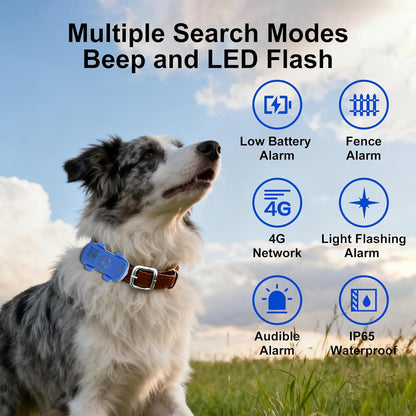 Real-Time Dog GPS Tracker – Geofence Alerts, Sound &amp; Light Finder, IP67 Waterproof (App Subscription Required) – view 8