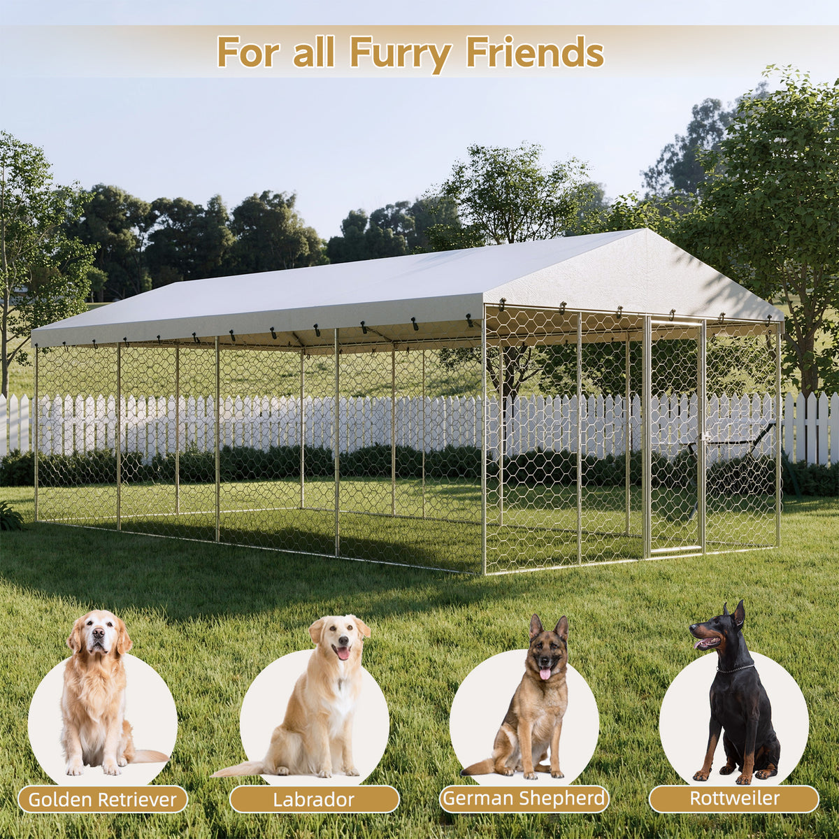 Large Outdoor Dog Kennel with Canopy – 10x20 Ft, Galvanized Steel, 18 Ground Stakes, Silver – view 8