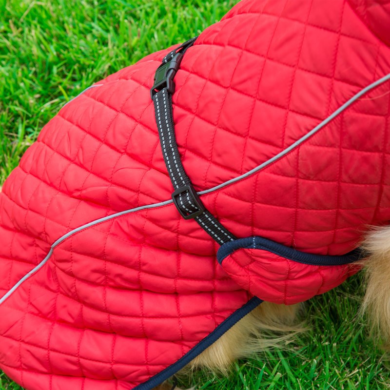 Adjustable Padded Dog Jacket – Warm Cotton Winter Coat – view 5